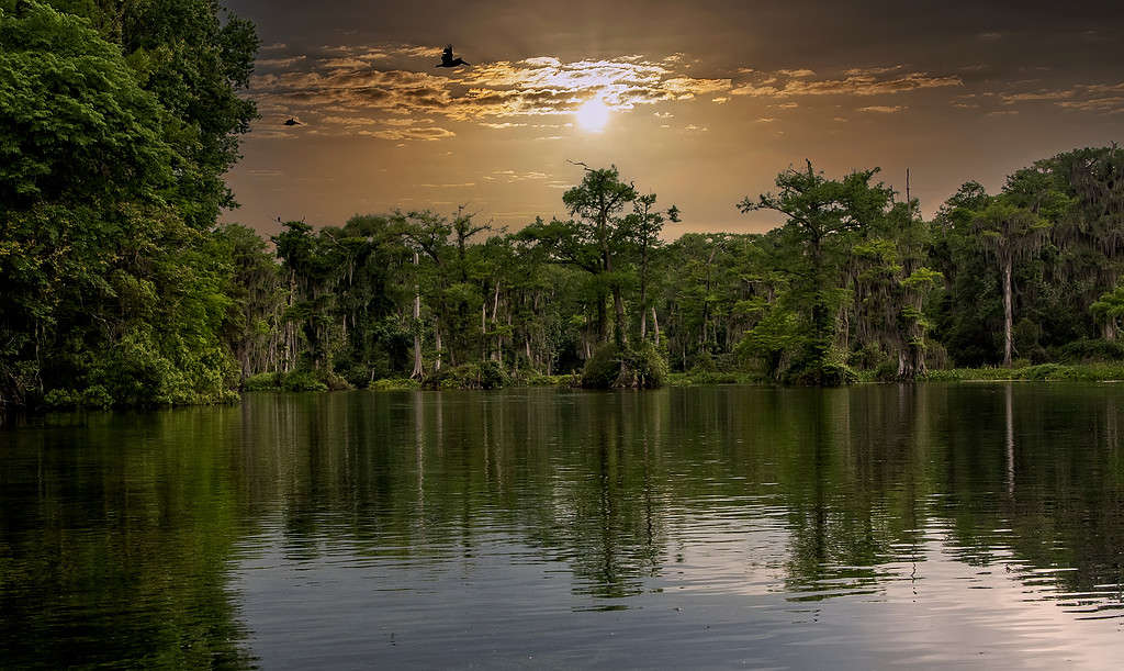 Wakulla Springs State Park