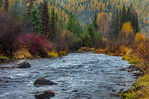 Discover When Leaves Change Color in Montana (and 5 Beautiful Places to See Them) Picture