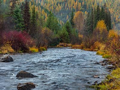A Discover When Leaves Change Color in Montana (and 5 Beautiful Places to See Them)