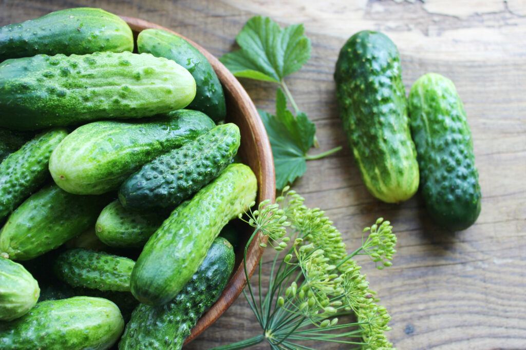 Pickling Cucumbers - Types of Cucumbers