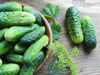 A 3 Unfortunate Reasons Your Cucumbers Didn’t Grow This Summer