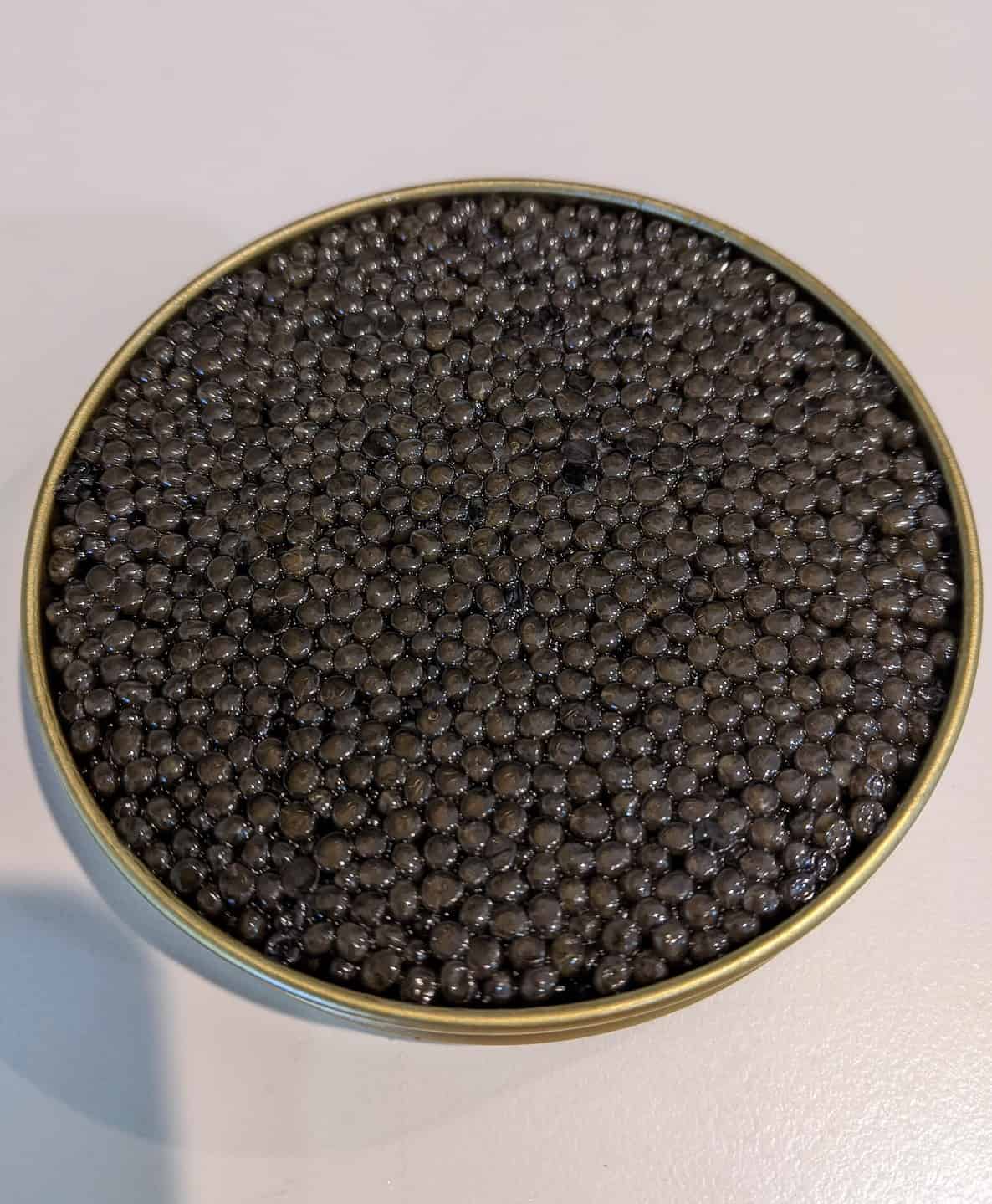 Discover The Top 5 Most Expensive Types Of Caviar In 2024 A Z Animals   Shutterstock 2110975859 1186x1536 