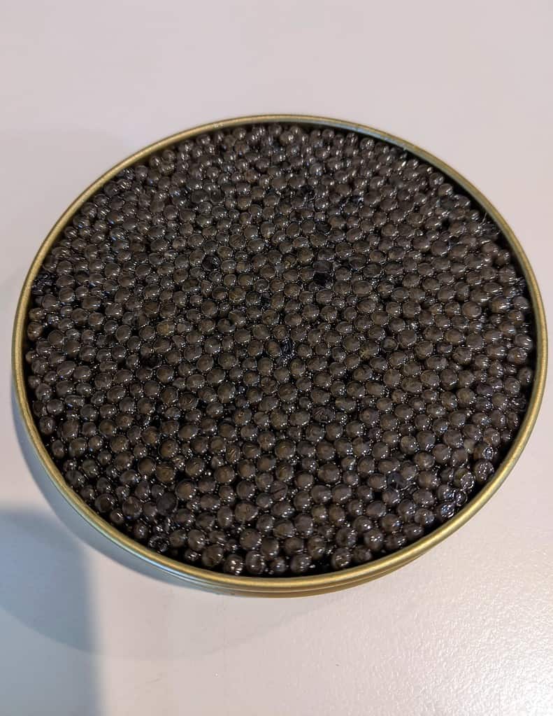 ossetra caviar