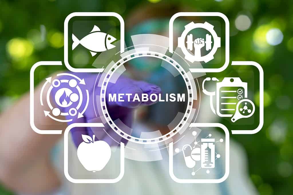Concept of Metabolism 2