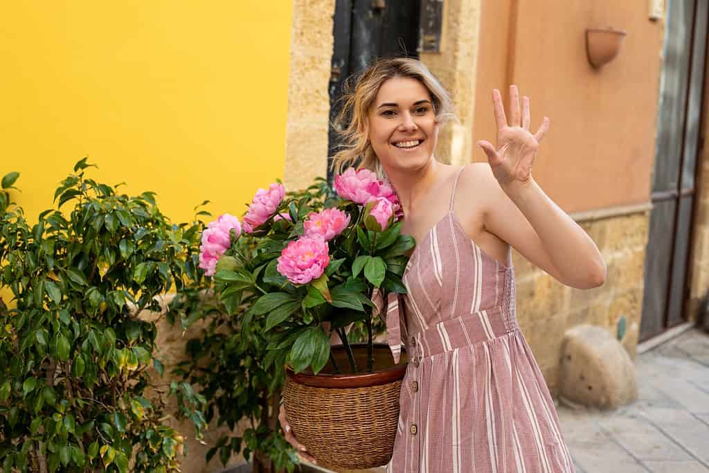 Young smiling woman wearing summer pink striped dress standing near olive trees, holding pot with pink peonies, greet.