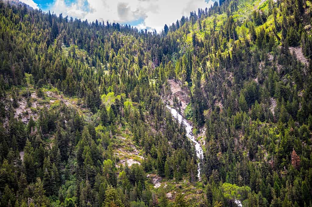 Waterfall in Alta Utah