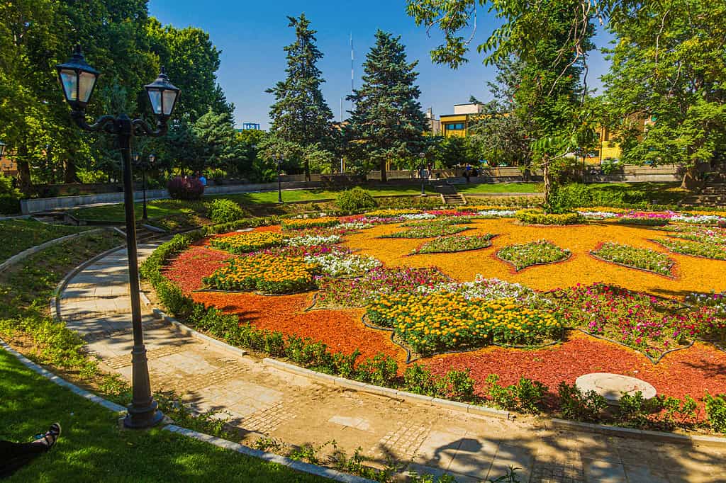 Ibn Sina (Avicenna) park