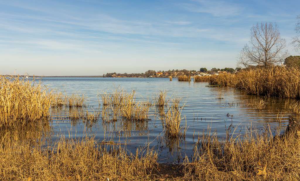 Beautiful cypress trees on Cross Lake, Louisiana, at the winter sunset