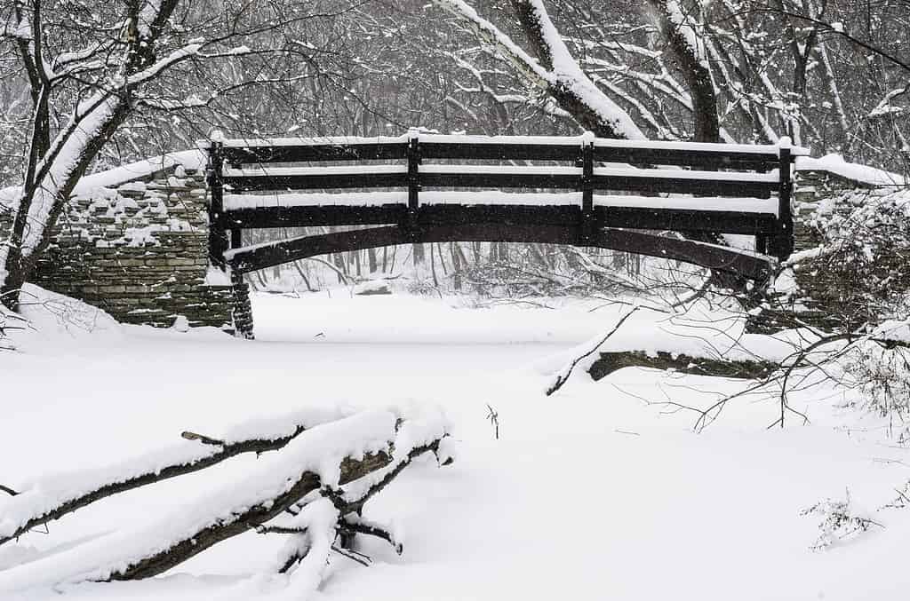 Wintry crossing in woods: Footbridge across a stream covered with snow in a winter snowstorm, with a fallen tree in foreground, in northern Illinois, USA