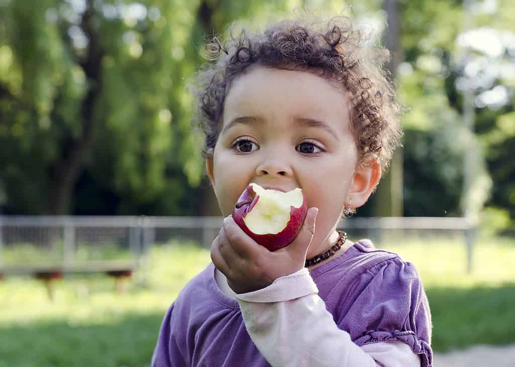 Photo of a young child with big brown eyes and wispy curls wearing a purple shirt eating an apple.with their left hand. 