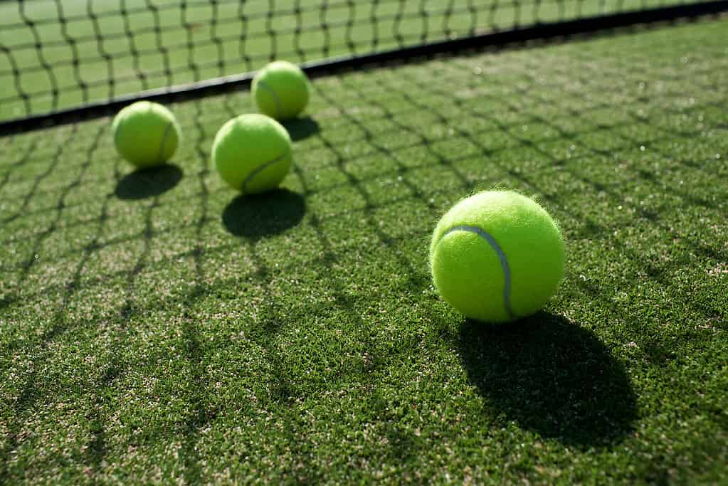 Four bright tennis balls are visible on a green grass court. The net is visible toward the bottom / back of the frame. The sun is shining through the nest casting a net shadow on the green grass and yellow balls.