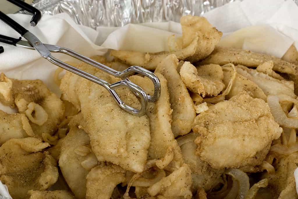 Large pan of fried crappie fillets