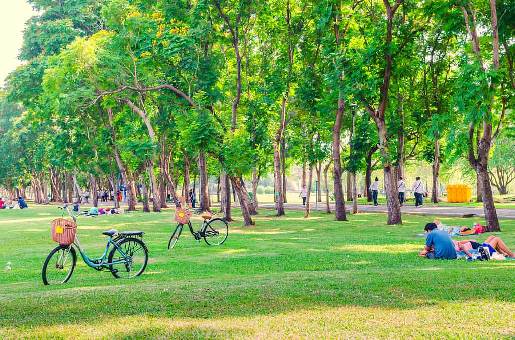 Bicycle on green grass in the park. People relaxing. Happy family enjoy time together outside. togetherness, love, happiness concept.
