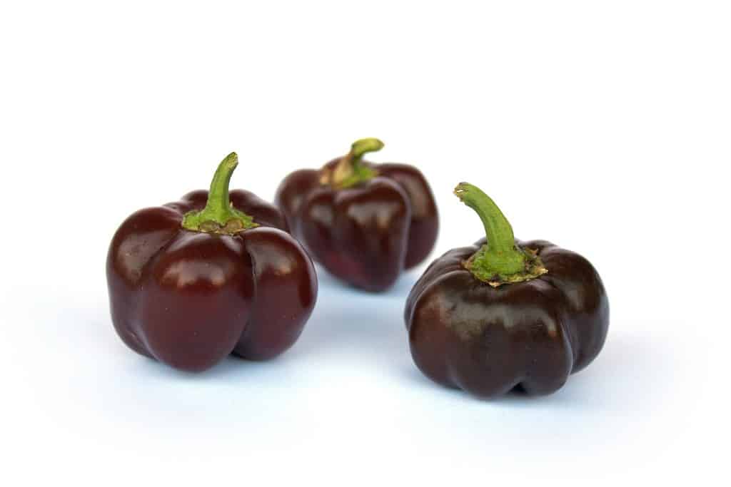 Brown bell peppers