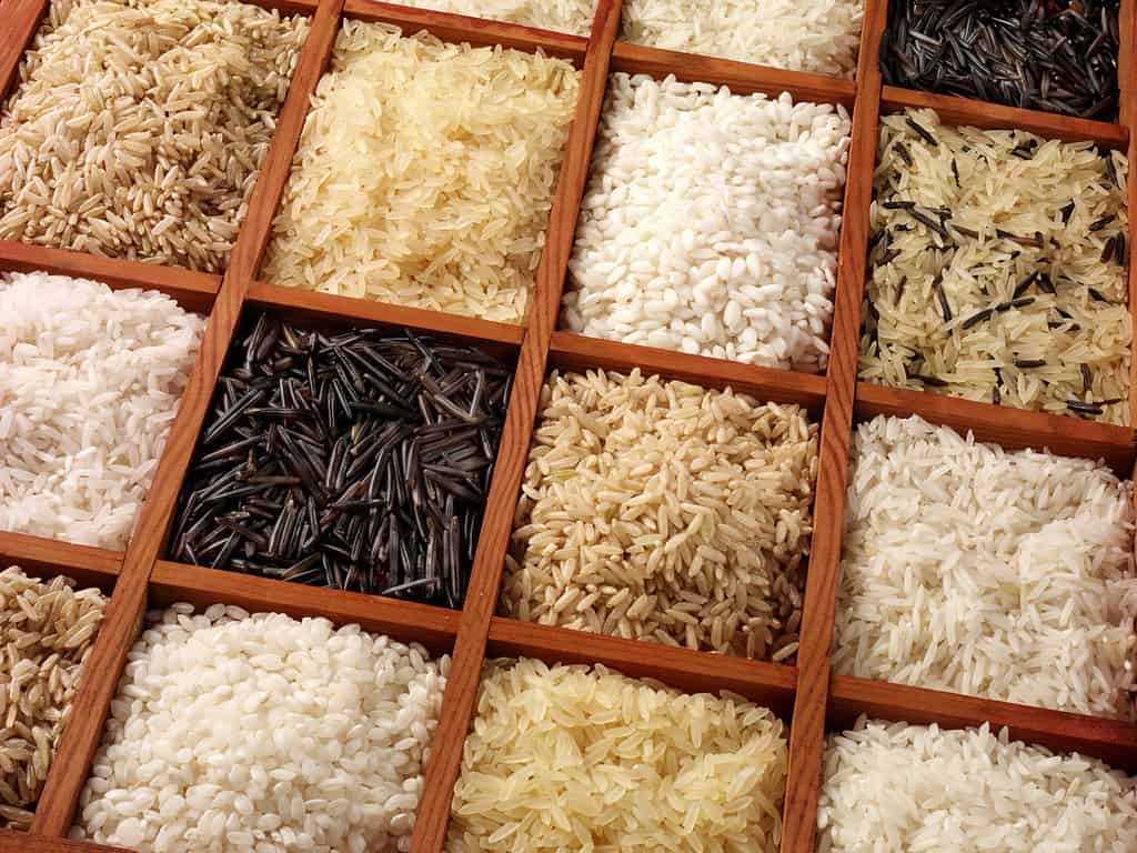 12 different square wooden boxes of different varieties of rice take up the frame. 