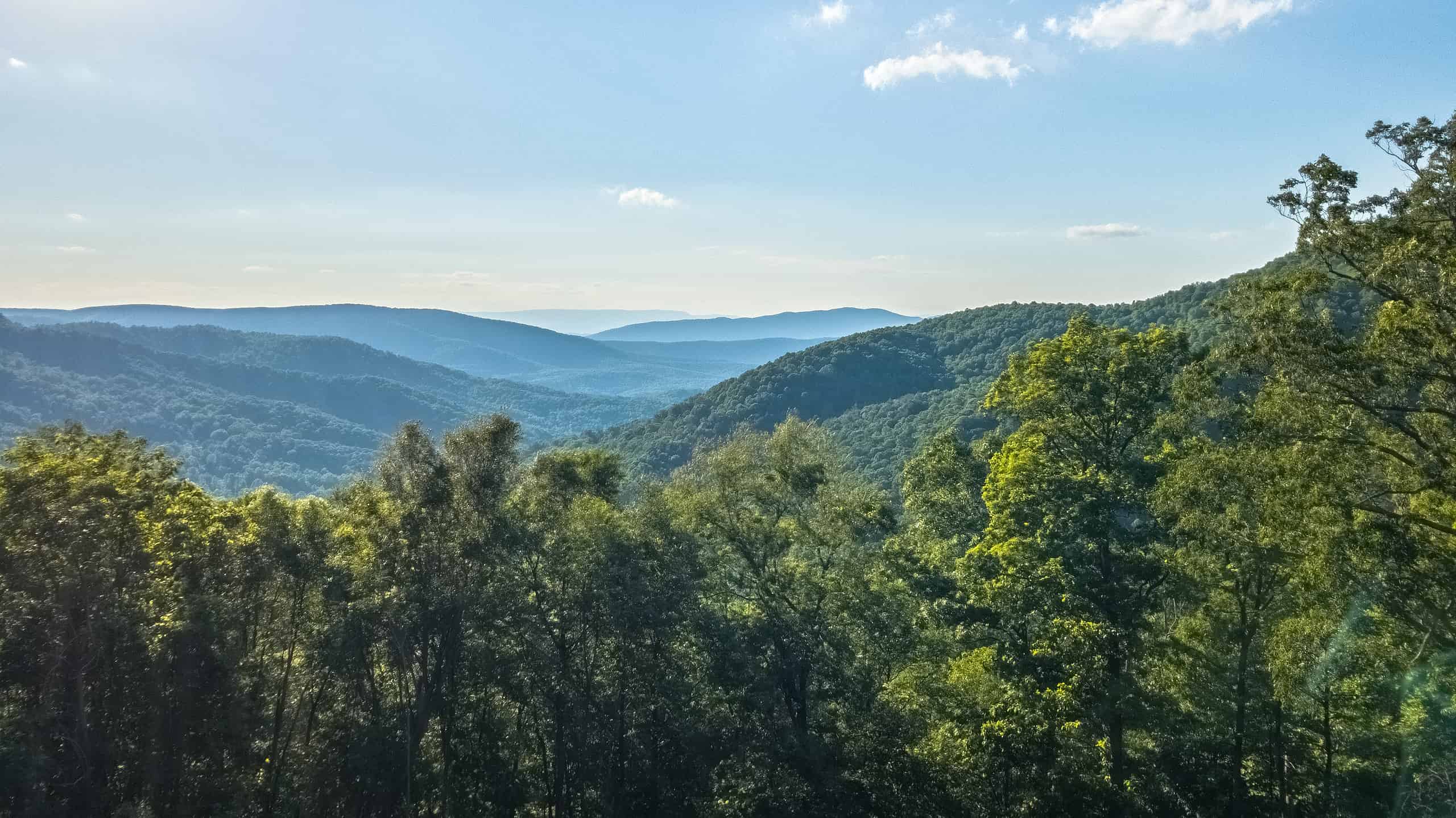 Appalachian Mountains in Virginia along the Blue Ridge Parkway in George Washington and Jefferson National Forest