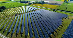 Discover the Largest Solar Farm in Ohio (And What Lives Around It) Picture