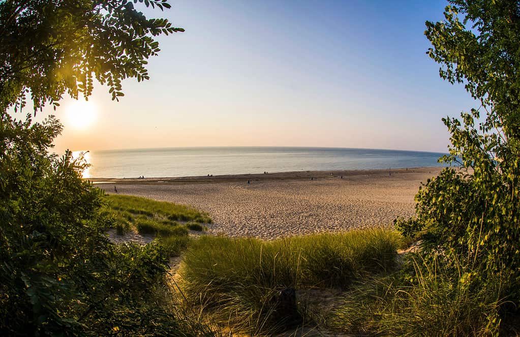 Warren Dunes Lake Michigan