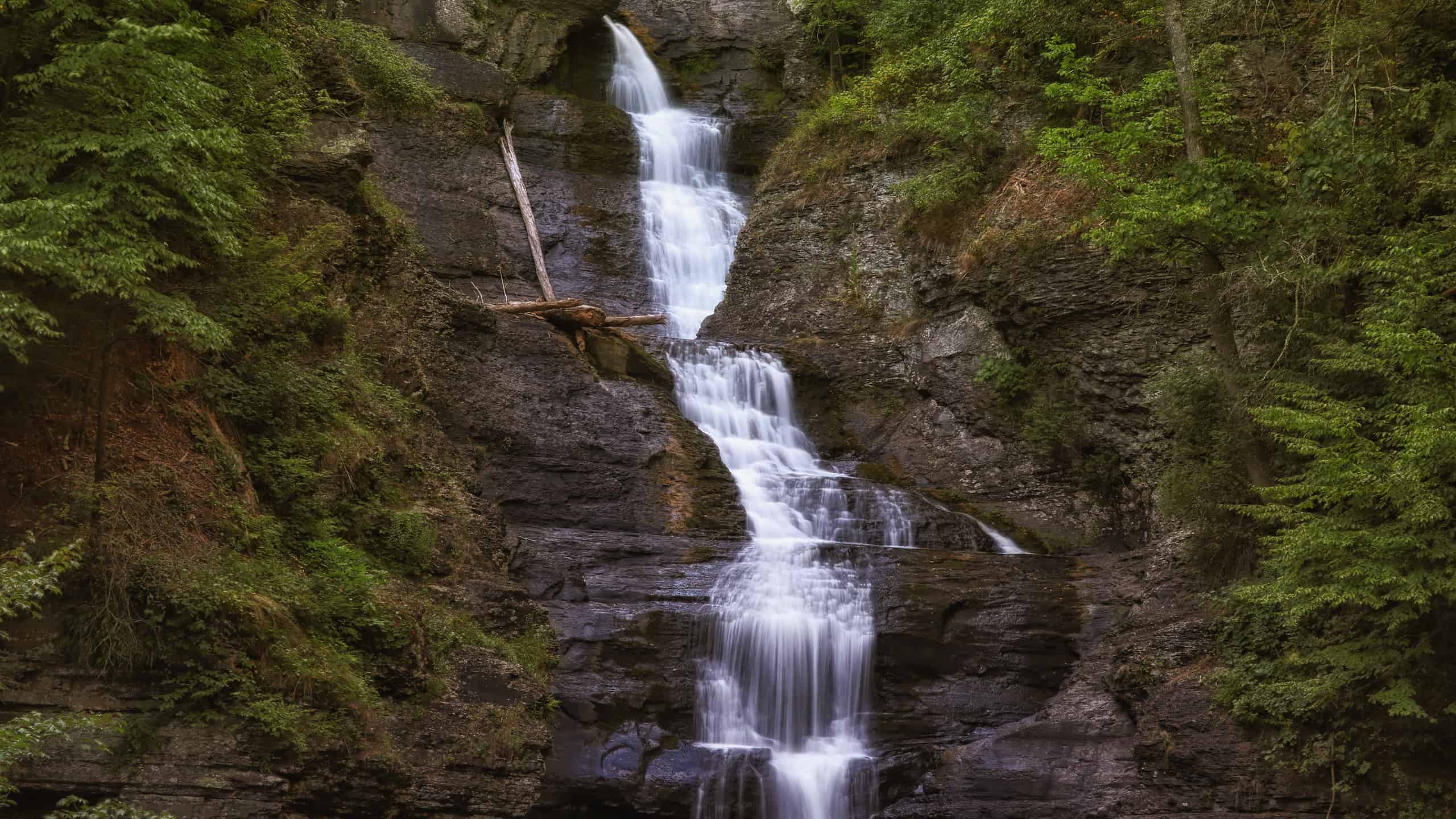 Raymondskill Falls is the tallest waterfall in Pennsylvania.