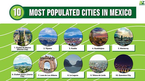 The 10 Most Populated Cities In Mexico In 2024 - A-Z Animals