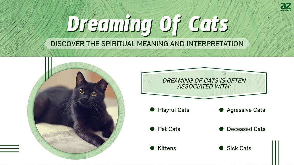 Dream of Cat Attacking Me Meaning  