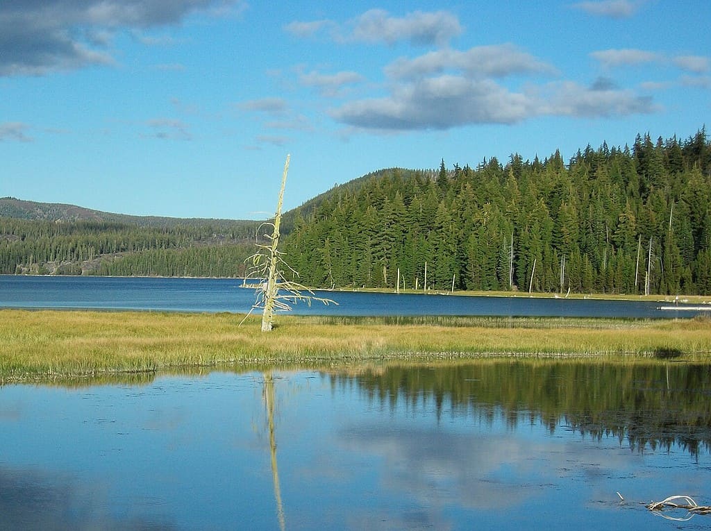 photo of Paulina Lake Oregon