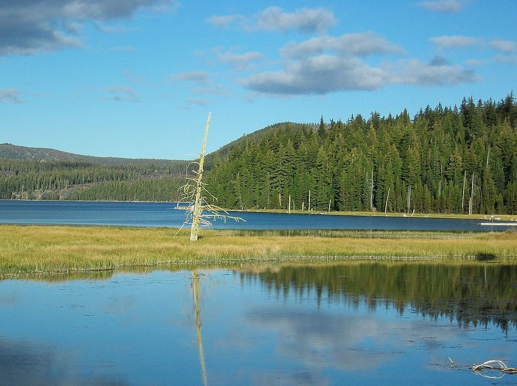 Paulina Lake in Oregon