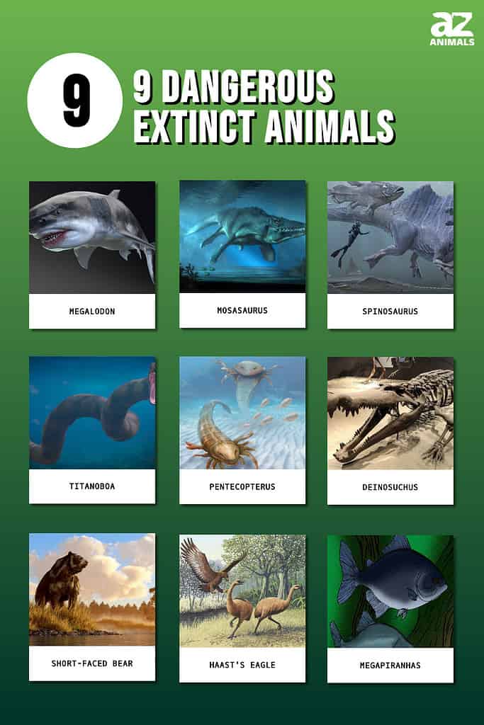 list of extinct species