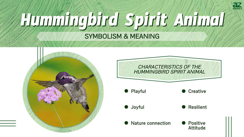 Hummingbird Spiritual Meaning Symbolism  