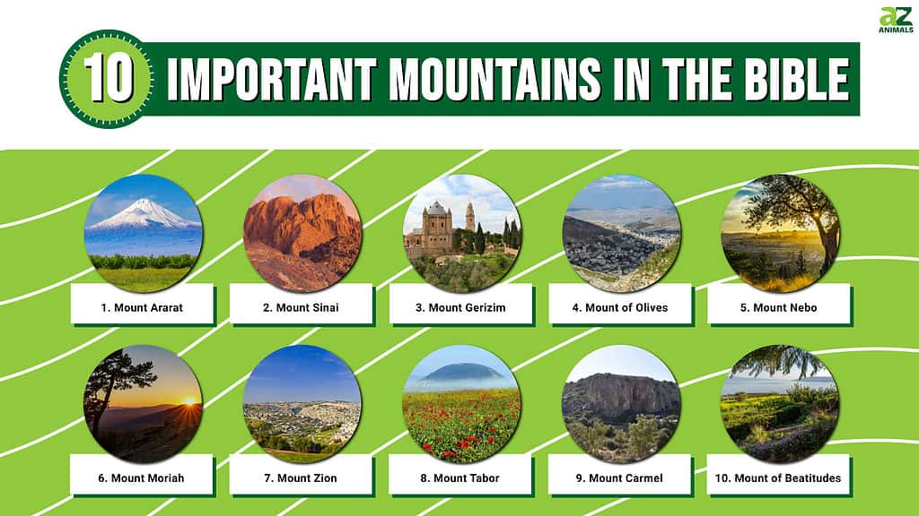 Important Mountains In The Bible infographic