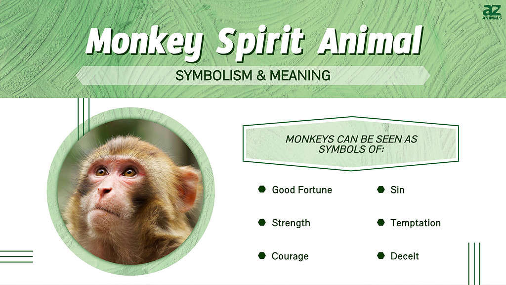 Infographic of Monkey Spirit Animal
