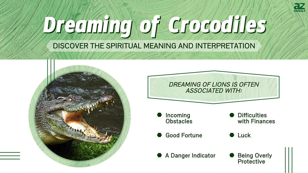 Spiritual Meaning of Alligator in Dream  