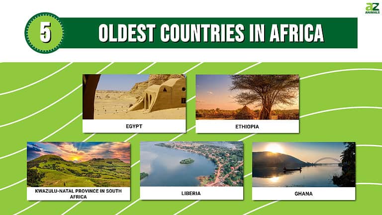 the-5-oldest-countries-in-africa-a-z-animals