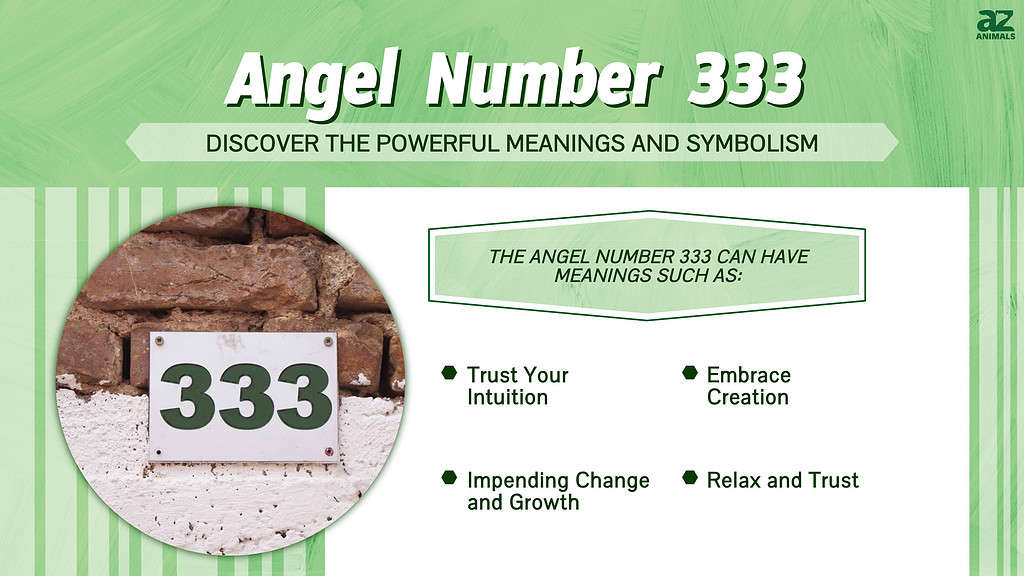 Angel Number 333: Discover The Powerful Meanings And, 40% OFF