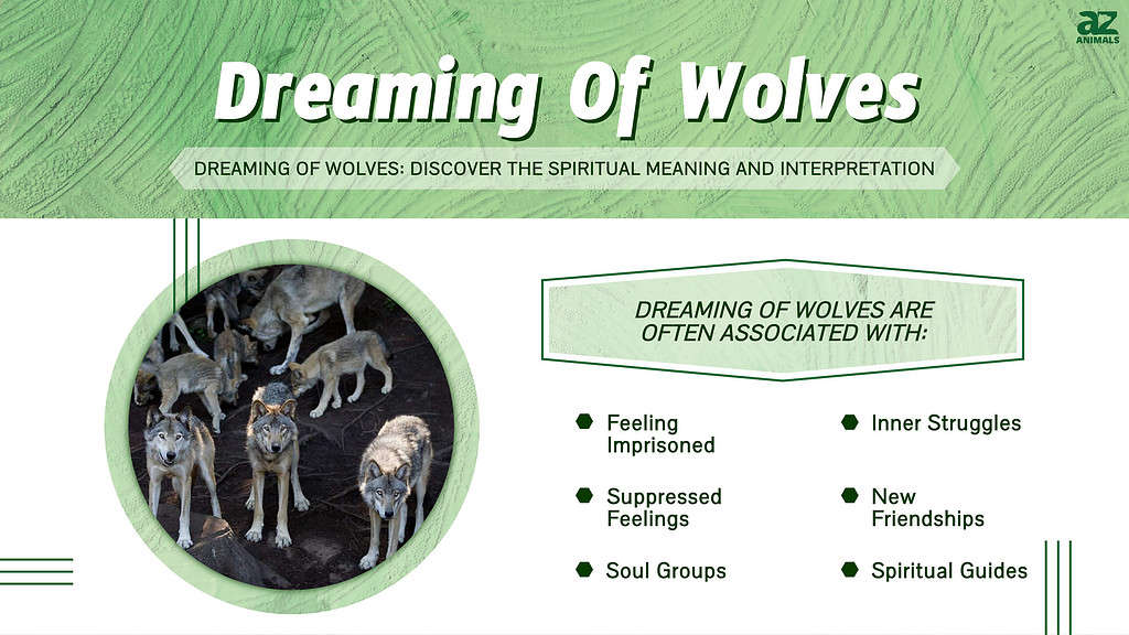 Dreaming Of Wolves infographic