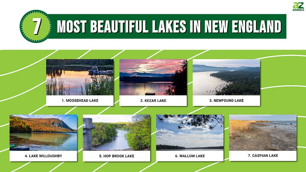 The 7 Most Beautiful Lakes in New England - A-Z Animals