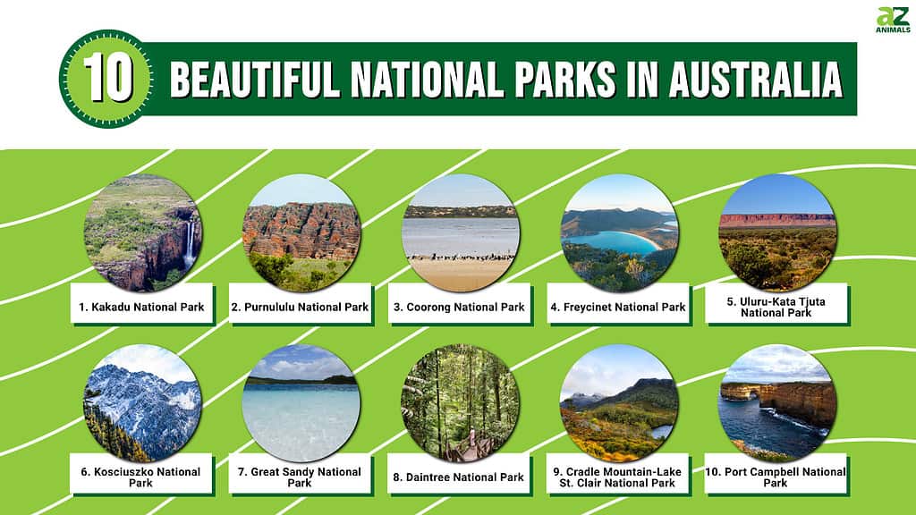 Infographic of Beautiful National Parks in Australia