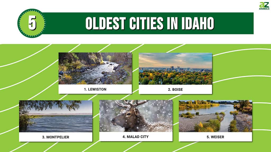 Infographic of 5 Oldest Cities in Idaho 