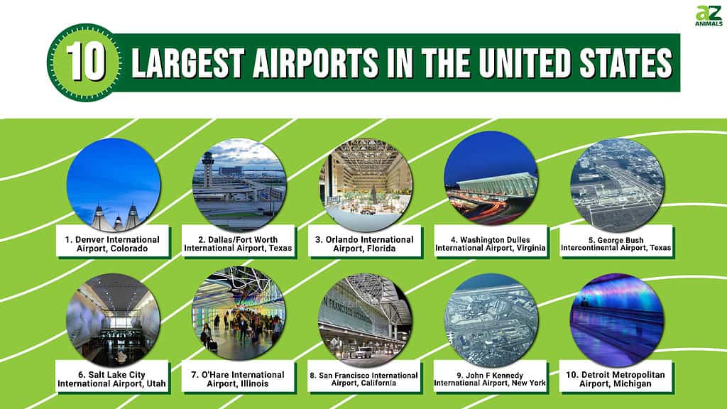 Us Airports Ranked By Size List Of Busiest Airports In North America 