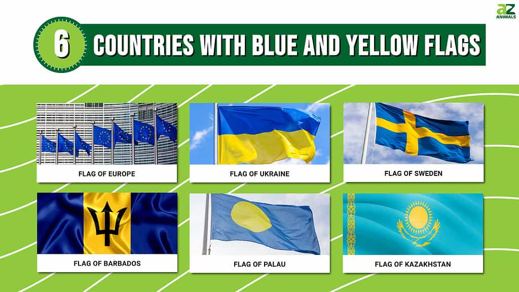 makker Rummet format 6 Countries With Blue And Yellow Flags, All Listed - AZ Animals