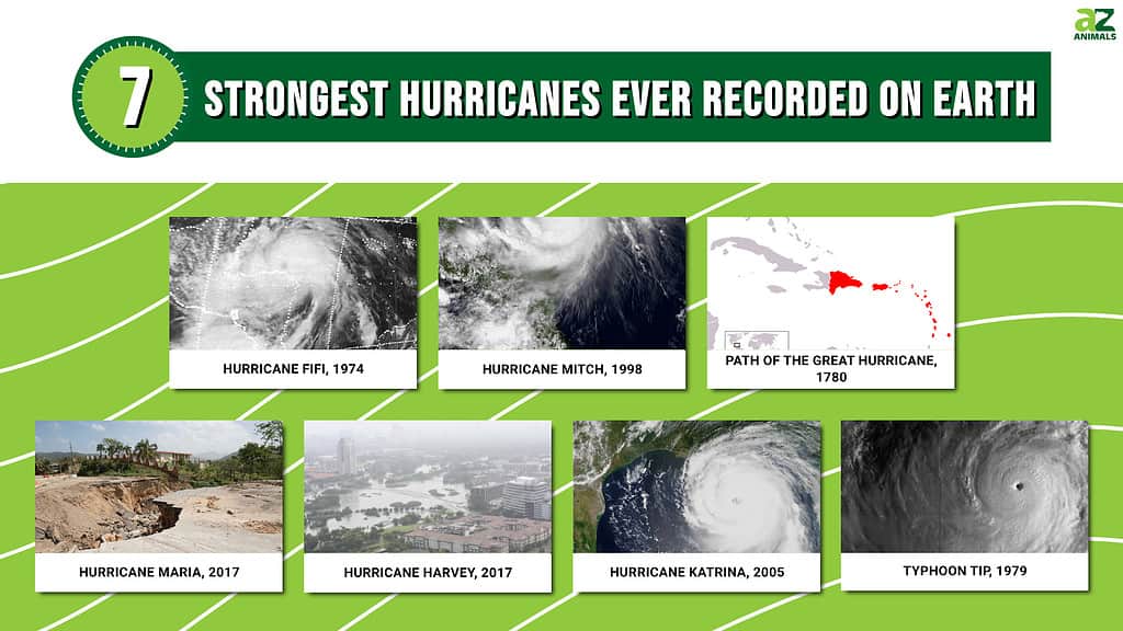 Biggest Hurricane In History