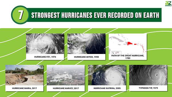 The 7 Strongest Hurricanes Ever Recorded on Earth - A-Z Animals