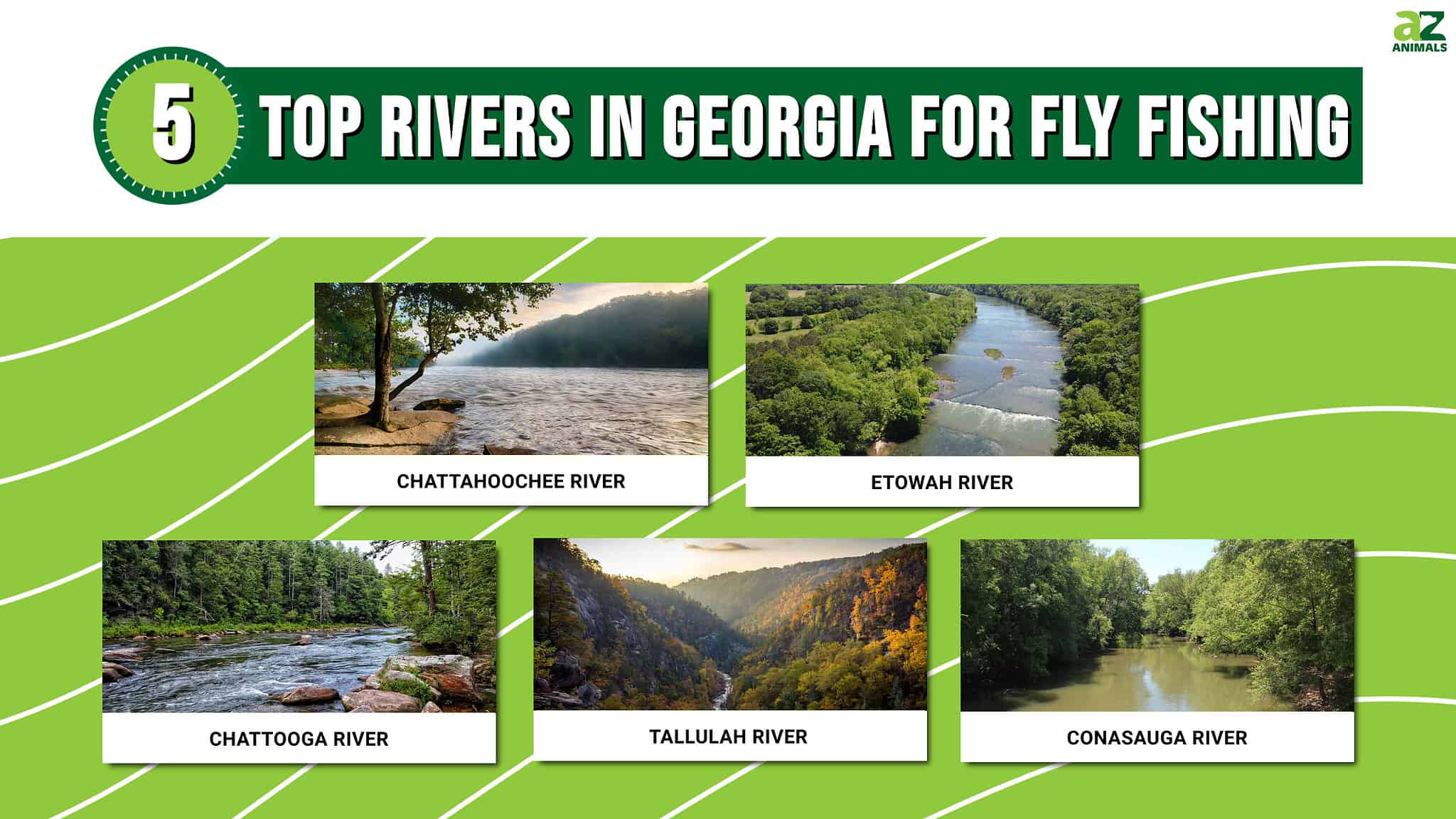 Discover The Top 5 Rivers In Georgia For Fly Fishing - A-Z Animals