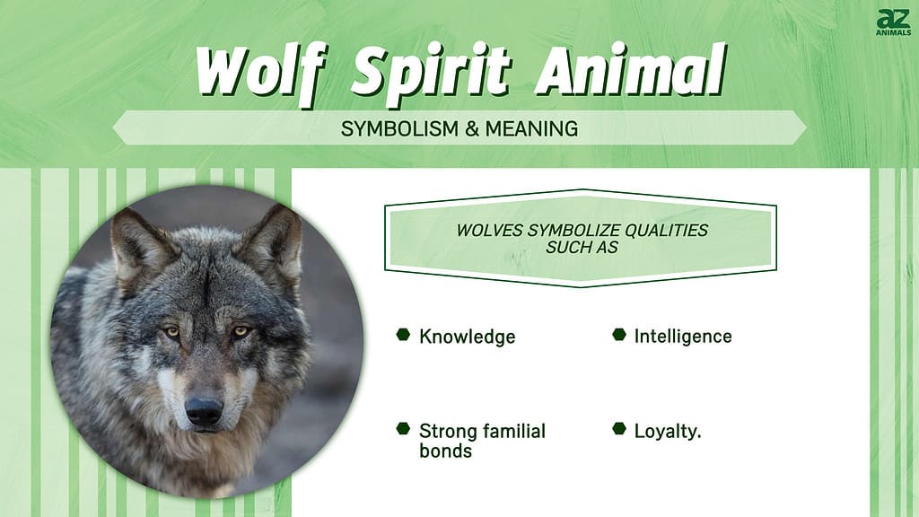 Animal Spirits