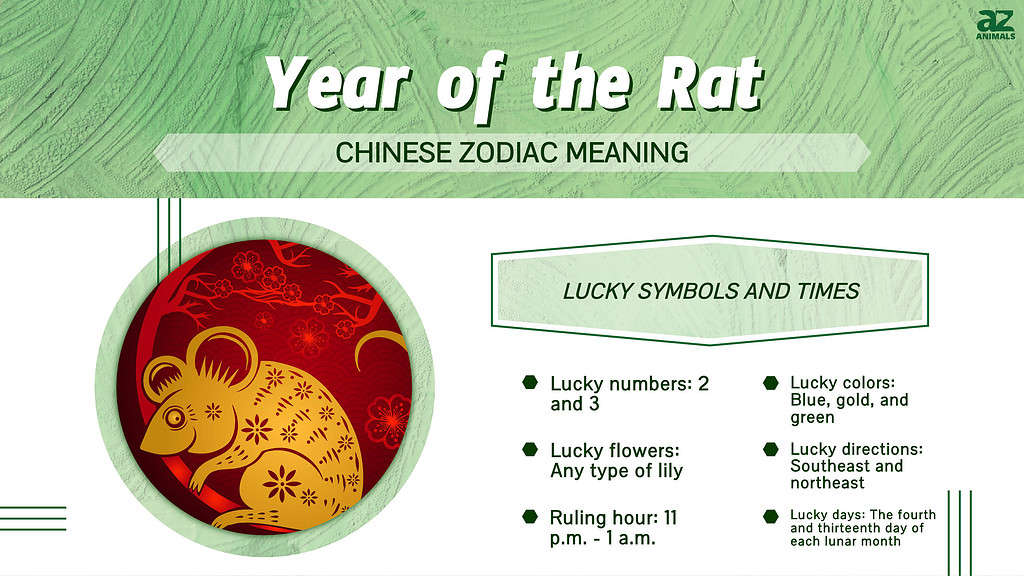 Chinese New Year of the Rat: Here is what your zodiac sign is and what it  means