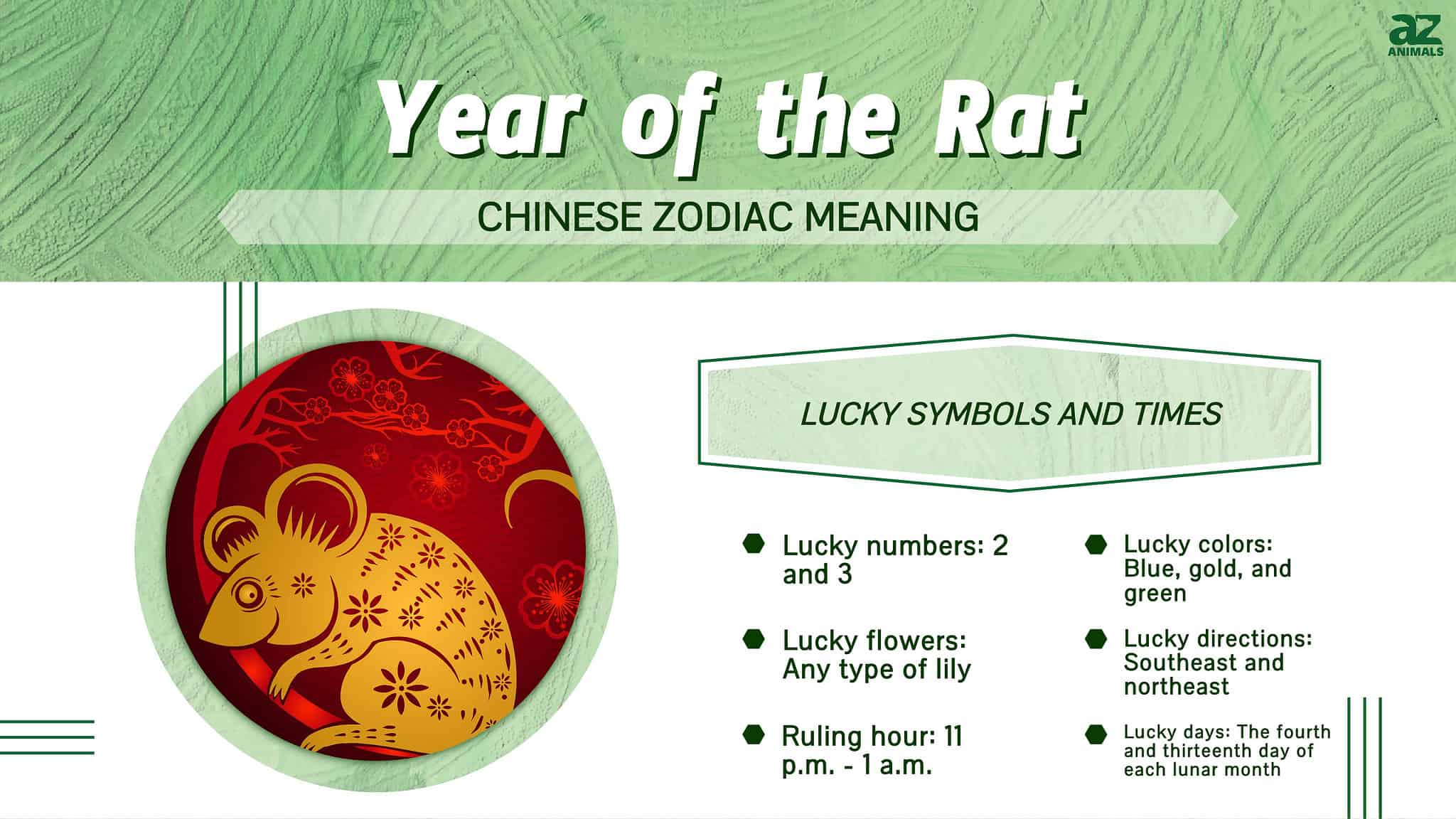 Year of the Rat: Chinese Zodiac Meaning and Years A Z Animals