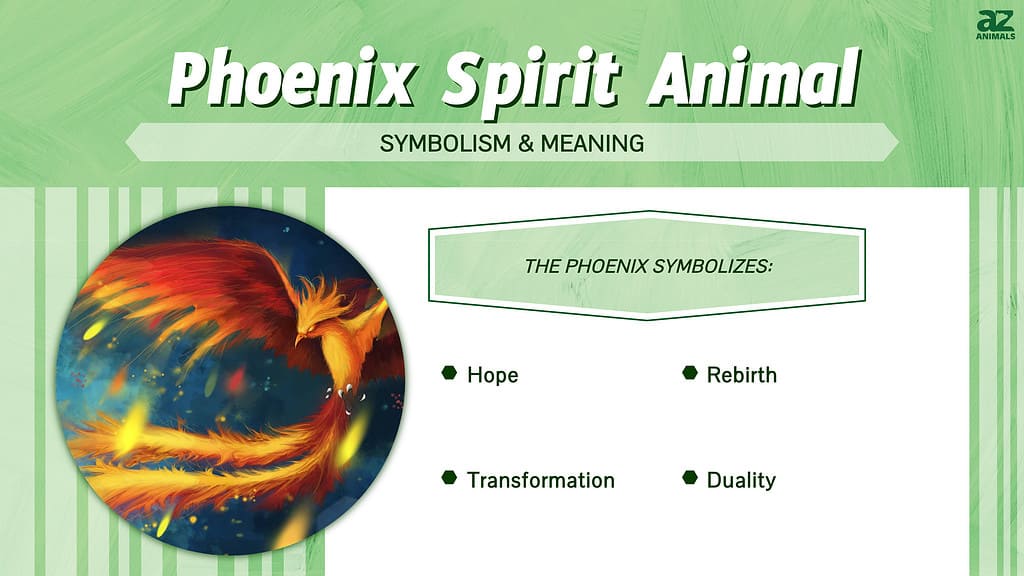 Infographic of Phoenix Spirit Animal