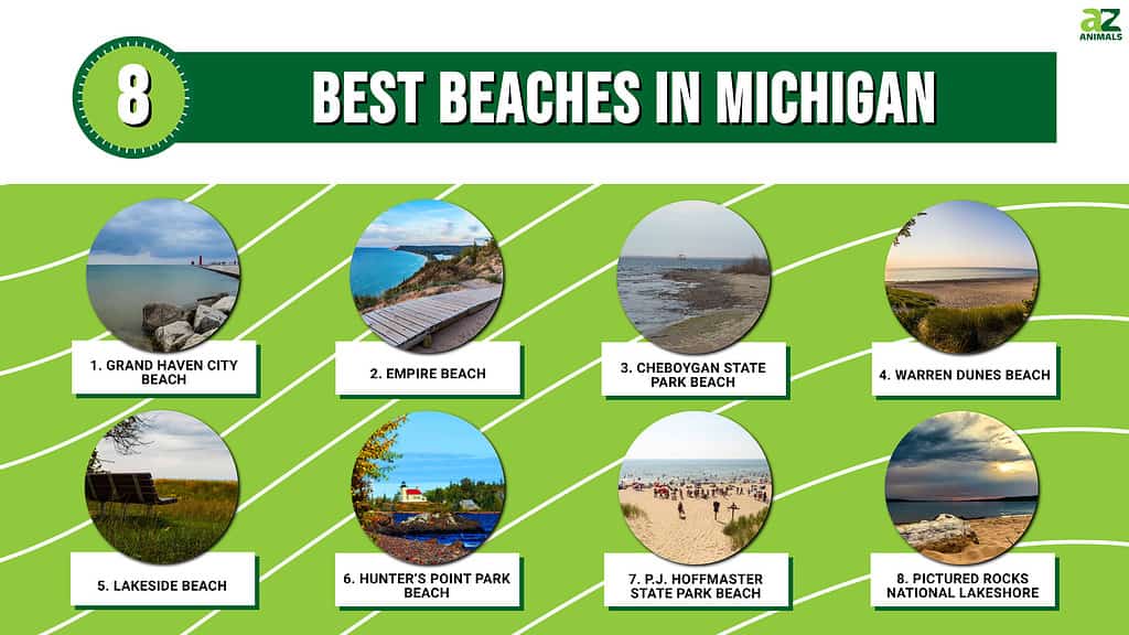 Infographic of 8 Best Beaches in Michigan
