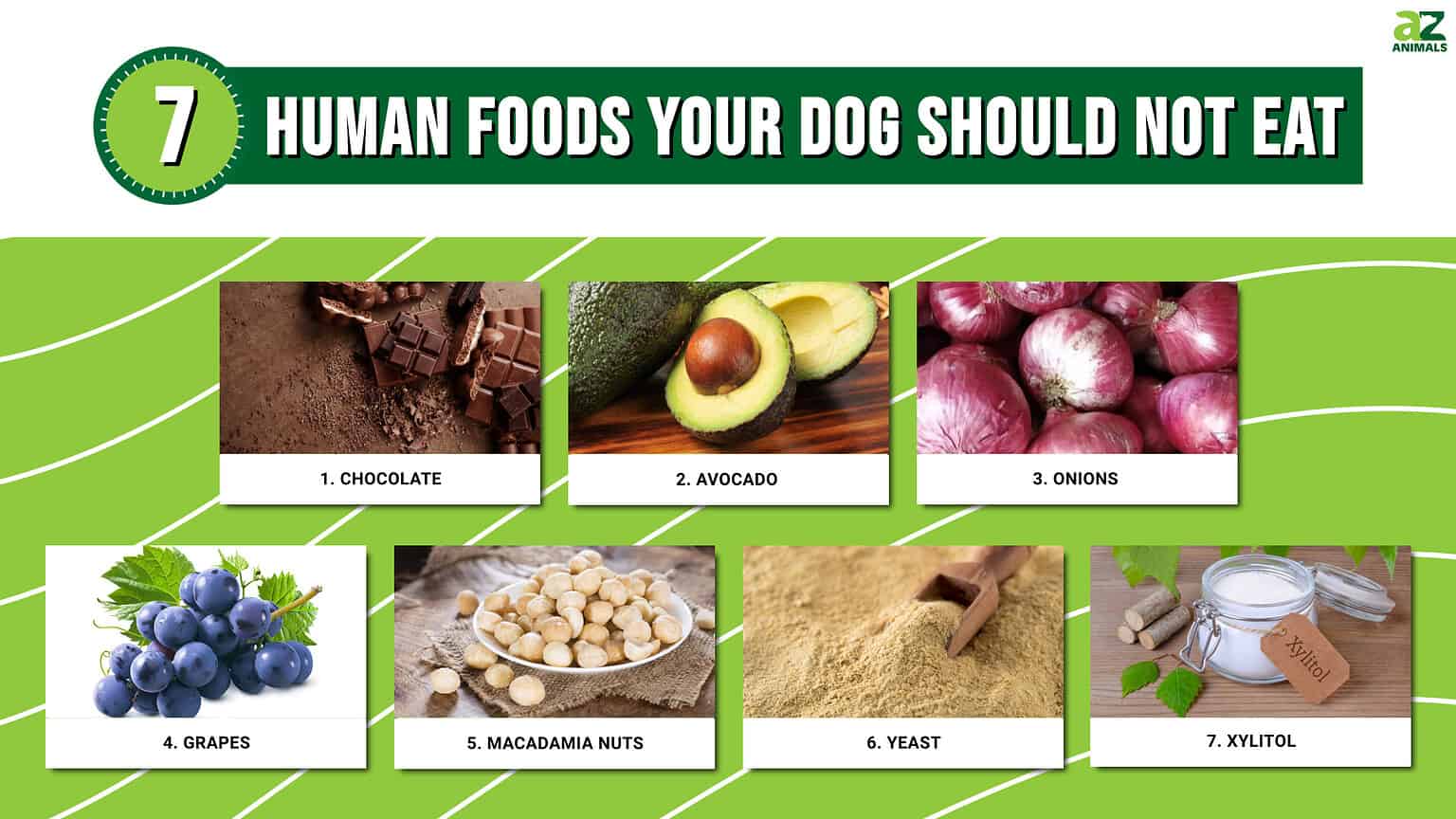 7 Human Foods Your Dog Should Not Eat AZ Animals