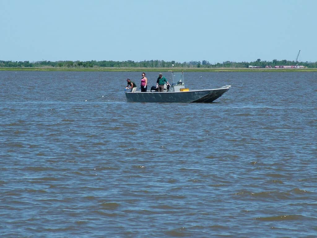Lake Calcasieu Louisiana